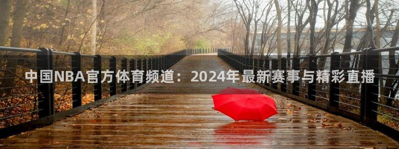 中国NBA官方体育频道：2024年最新赛事与精彩直播